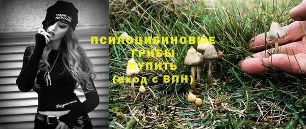 спайс Алексин